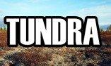 мод тундра