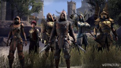 Гайд для стамина-НБ в TESO