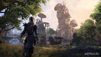 The Elder Scrolls Online: 10 советов новичкам