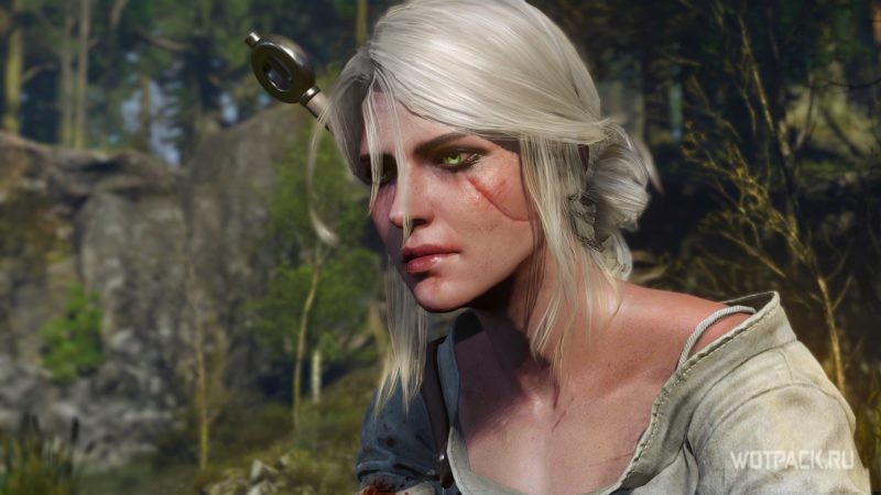 Цири (The Witcher 3: Wild Hunt)