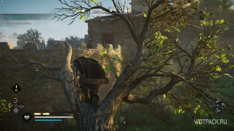 Assassin's Creed: Valhalla – Эйвор на дереве