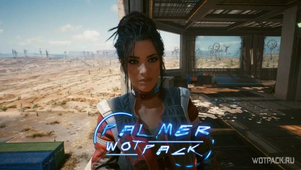 Cyberpunk 2077 зависает на миссии с панам