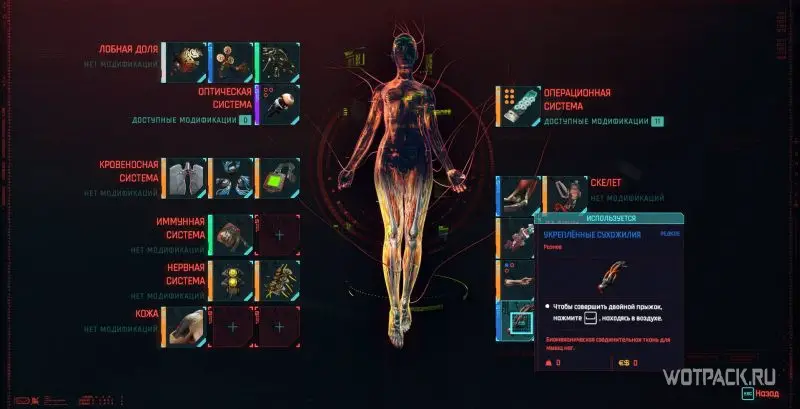 Cyberpunk 2077 лучшие импланты для ног