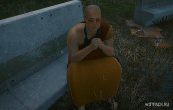 Прохождение «Встреча со стихиями» в Cyberpunk 2077