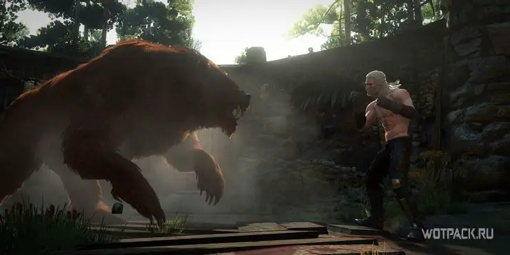Ведьмак 3 Кулачный бой с медведем и троллем