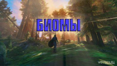 Гайд по биомам Valheim