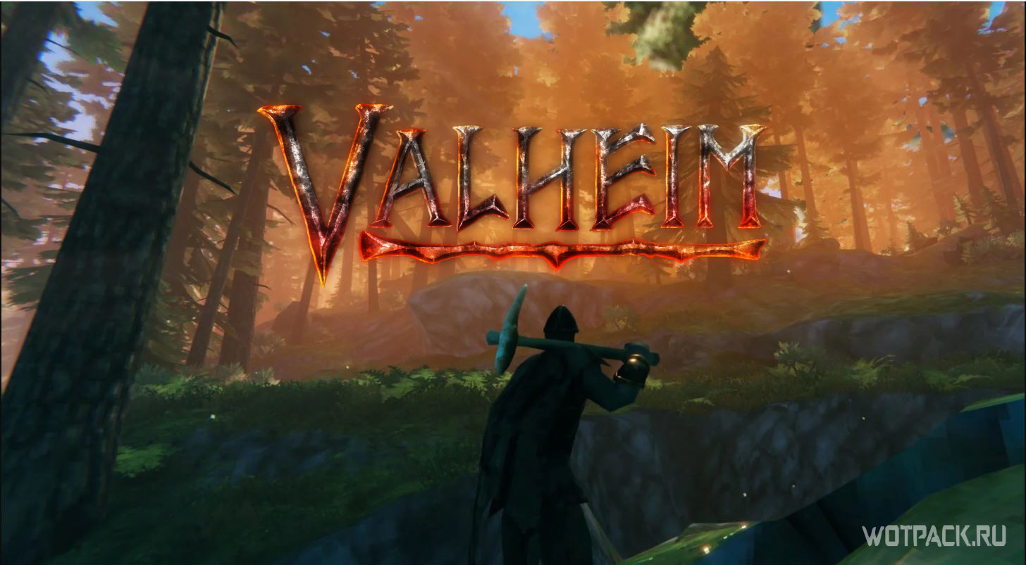 Valheim лес