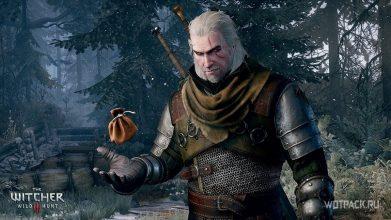 The Witcher 3: ТОП-10 лучших способов разбогатеть