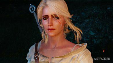 The Witcher 3: ТОП-10 самых трагических финалов историй персонажей