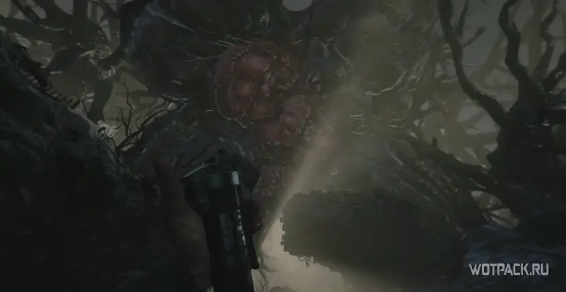 Resident Evil Village итан взрывает мегамицелий