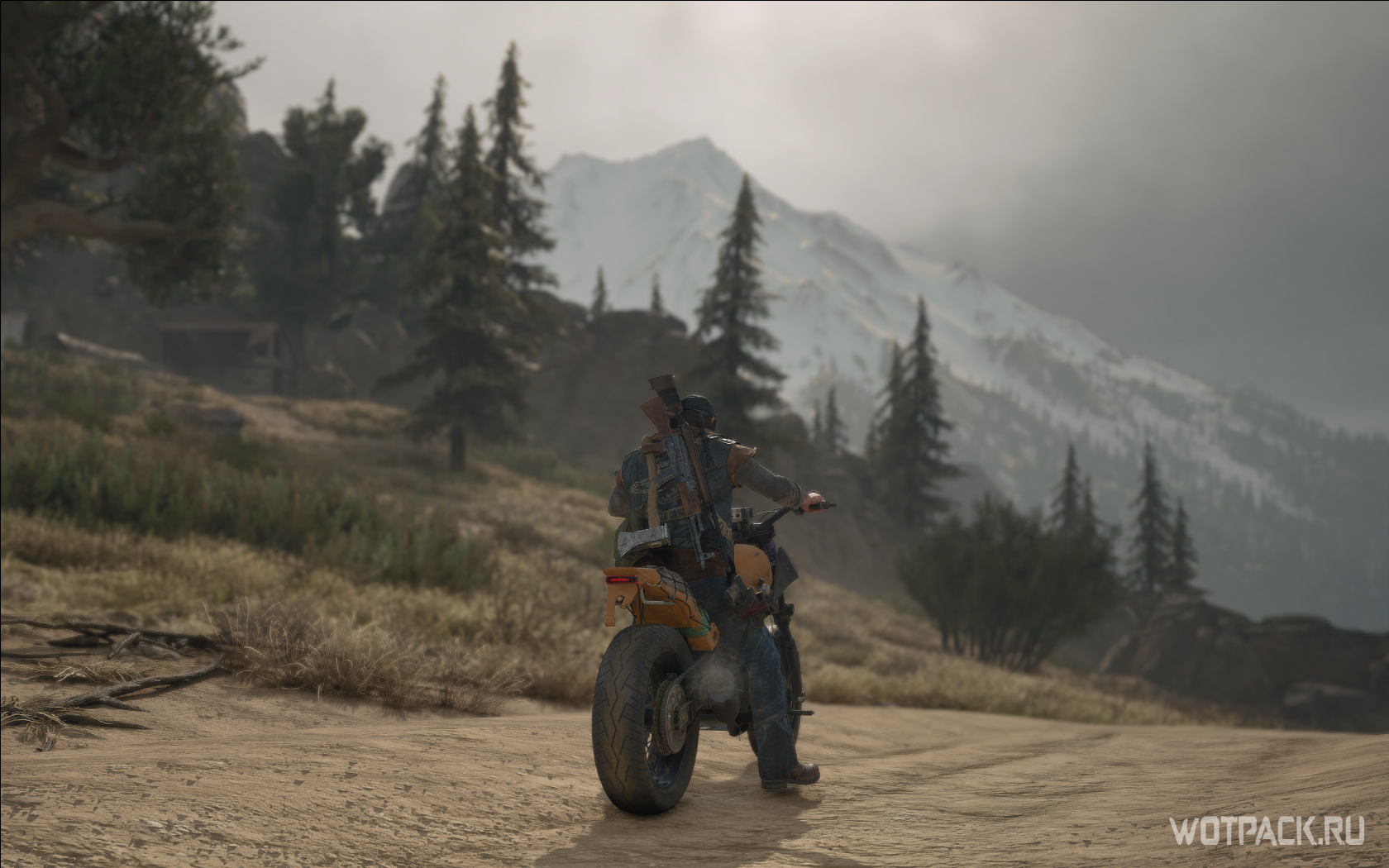 Days Gone арбалет