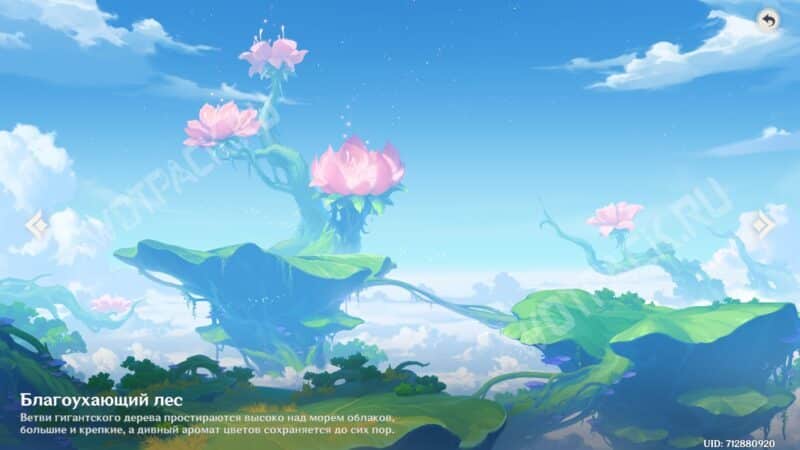 Genshin Impact: Чайник безмятежности – гайд по домовладению