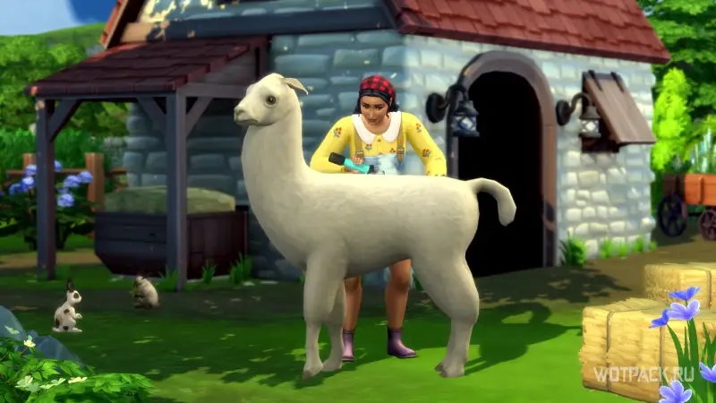 The Sims 4 «Загородная жизнь» лама