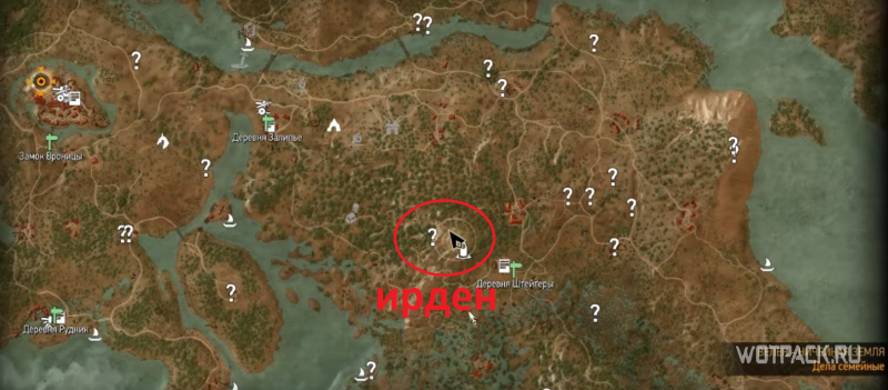 The Witcher 3 место силы ирден