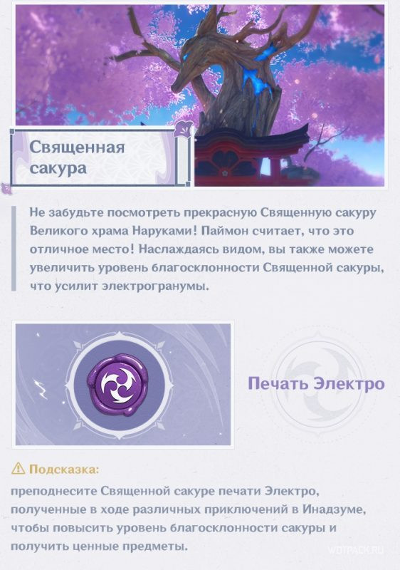 Священная Сакура и печать Электро Genshin Impact