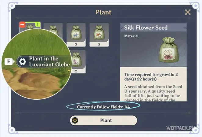 Семена на поле для садоводства Genshin Impact