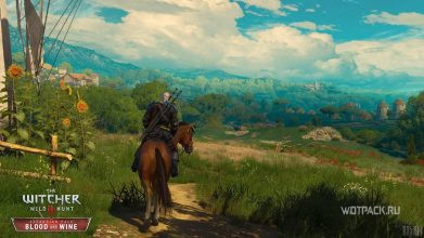 The Witcher 3 «Винные войны»: кому помочь первому и как получить хорошую концовку?