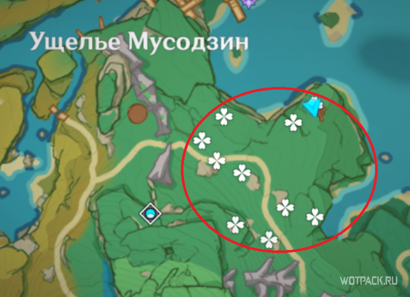 Область сокровищ 11 Затерянные богатства Genshin Impact