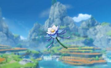 Глазурная лилия в Genshin Impact — где найти на карте или купить? Все точки сбора