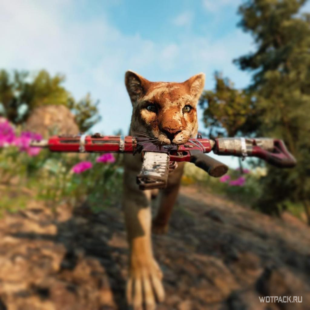 амиго в Far Cry