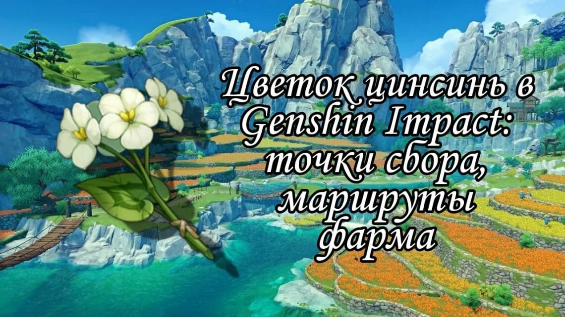 Цветы цинсинь genshin impact интерактивная карта