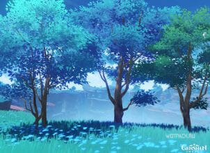 Отоги в Genshin Impact: где растет на карте – все точки сбора