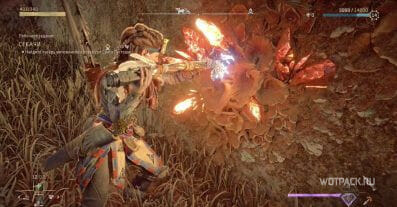 Horizon Forbidden West: руины с реликвиями Безлюдные земли – где найти код от двери и орнамент