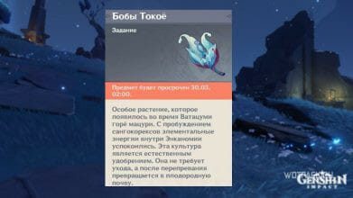 Бобы Токое в Genshin Impact: где найти на карте Энканомии [все точки сбора]