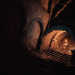 Elden Ring: Tombsward Catacombs Walkthrough