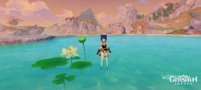 Чашечки лотоса в Genshin Impact: где найти на карте и купить