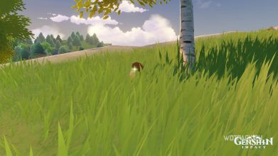 Мацутакэ в Genshin Impact: где найти и купить [маршруты фарма]