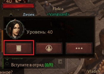 Личные данные персонажа в Diablo Immortal