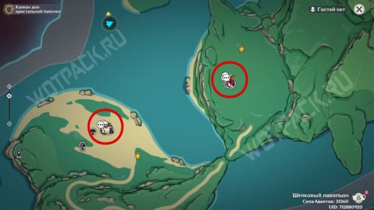 Компаньоны в Genshin Impact: как получить подарки