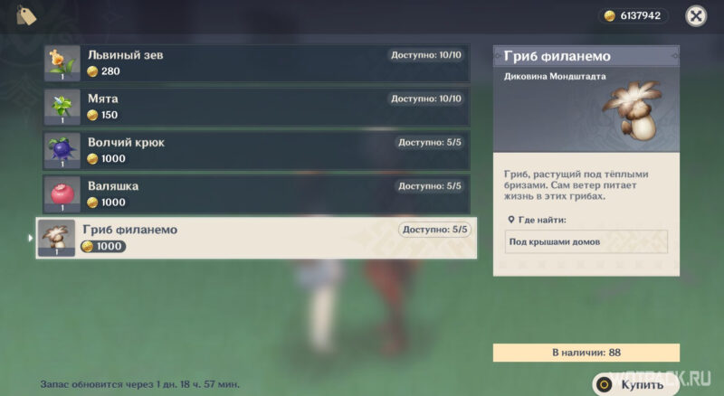 Покупка грибов филанемо у Ботаника Клорис
