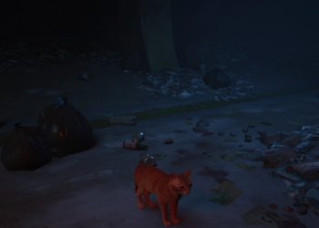 Stray при низких настройках