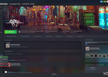 Свойства Stray в Библиотеке Steam