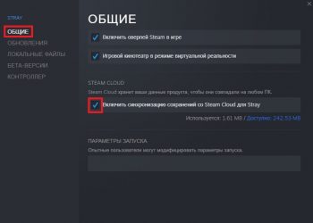 Общие свойства Stray
