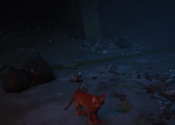Stray при высоких настройках