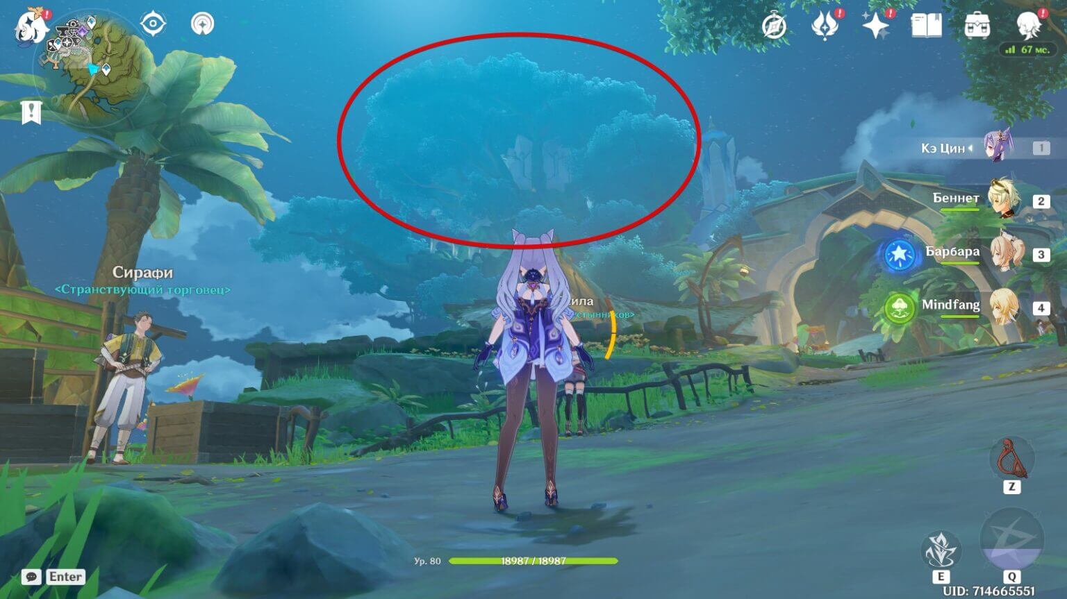 Pinnacle of Wisdom in Genshin Impact: Climb to the highest point of Sumeru