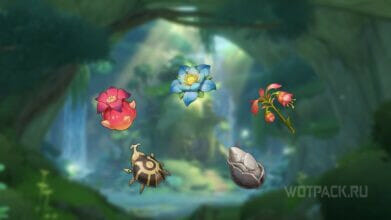 Диковинки Сумеру в Genshin Impact: где найти и купить