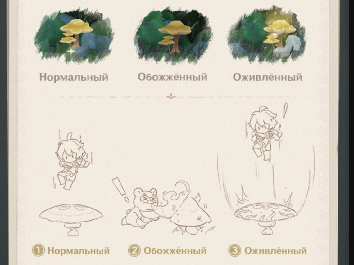 Sumeru Mysteries in Genshin Impact: How to Solve All the Puzzles [Guide]