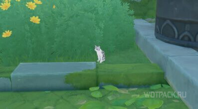 Мяу…Мяу-мяу? Мяу! Мяу в Genshin Impact: как найти кошек Лали, Наргис и Розану