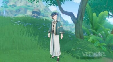 Человек, который измерит мир в Genshin Impact: как помочь Фаргани