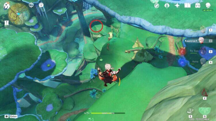 Walnut tree in the middle of the garden in Genshin Impact: ask Khayyam ...