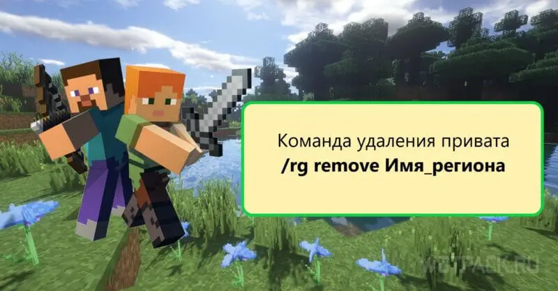 Minecraft удалить приват через консоль