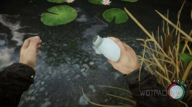 Вода в Sons Of The Forest: как добывать и пить