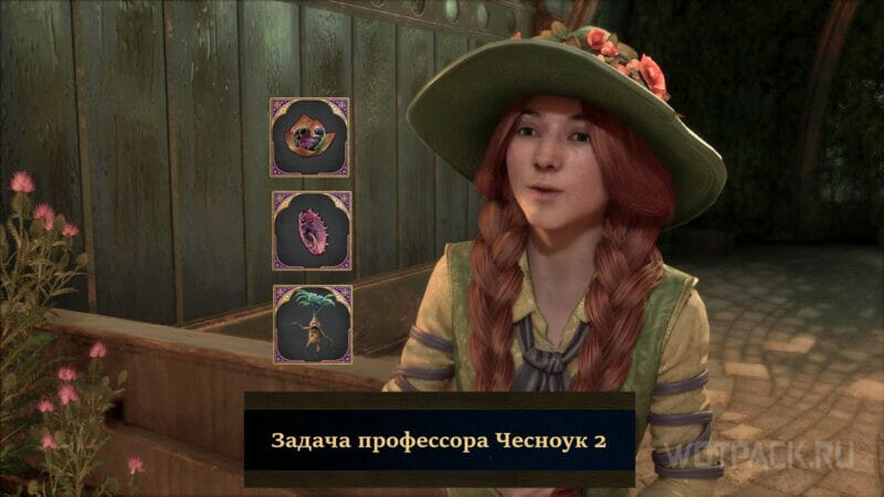 Задача профессора Чесноук 2 в Hogwarts Legacy