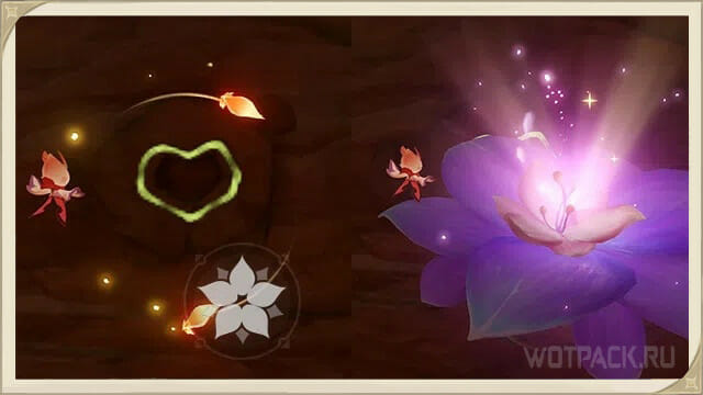 Rune taşları ve Udumbara çiçekleri