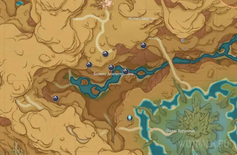 карта с расположением рунных камней цветка удумбара