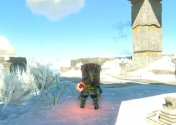 Блок щитом The Legend of Zelda Tears of the Kingdom